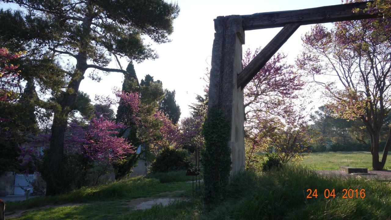 Les Lavandins-Gite Frederic Saint-Rémy-de-Provence المظهر الخارجي الصورة